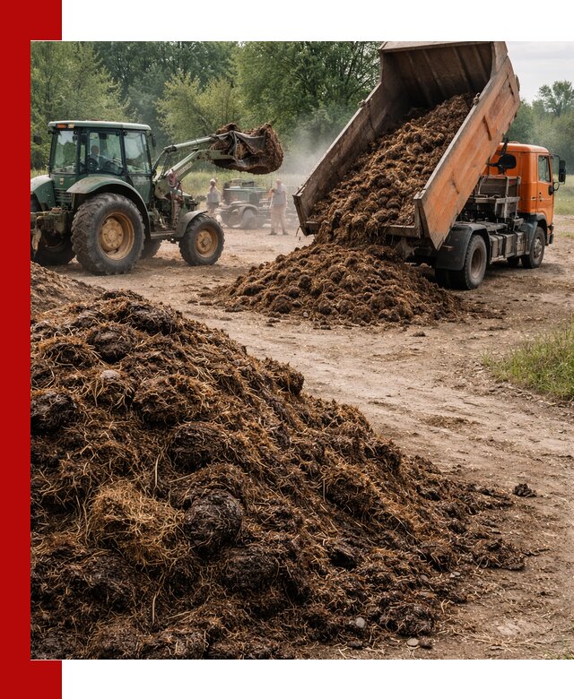 Доставка навоза самосвалами в Томске для сельхозпотребностей